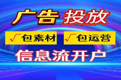 某行业领军企业的SEM广告投放策略